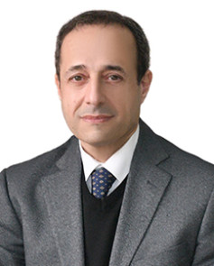 Prof. Dr. Ahmad Al Sayde