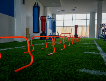 CrossFitClubHallAIUSport (3)