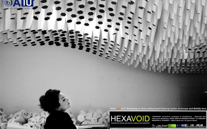 HEXAVOIDParametricAIU (25)