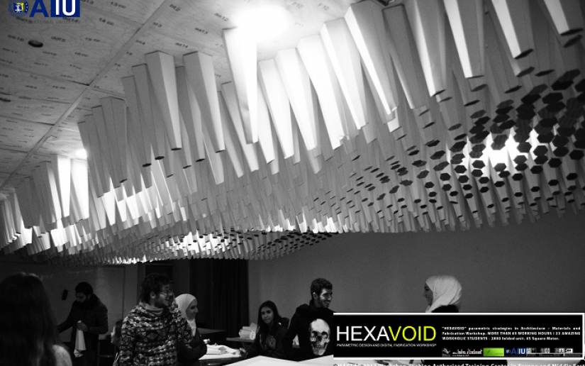 HEXAVOIDParametricAIU (38)