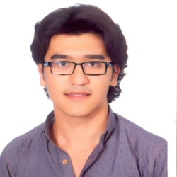 عامر محمد عارف  البظنا