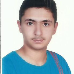 محمد تيسير محمد وائل  دعبول