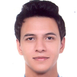 محمد مجد عبداللطيف  القيدى