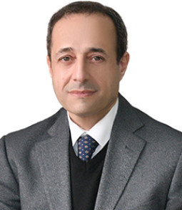 أ. د. أحمد السيد