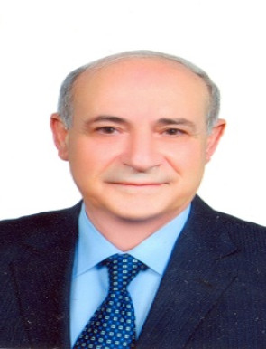 Prof. Dr. Adel Nofal